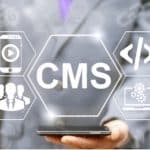 What is a Headless CMS? All You Should Know